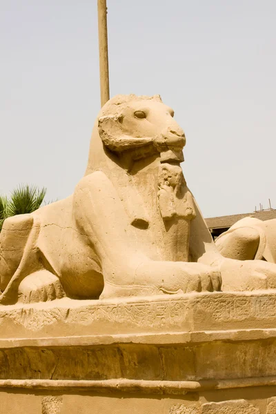 Antiikin rauniot Luxor — kuvapankkivalokuva
