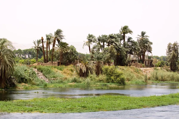 Vue du bord de la rivière de nile — Photo