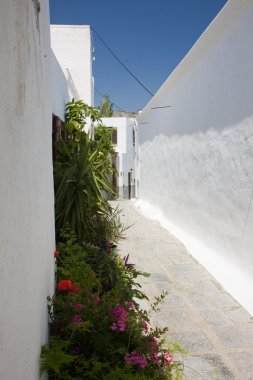 Rodos Adası