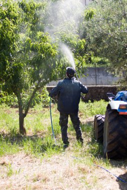 bahçede çalışan çiftçi