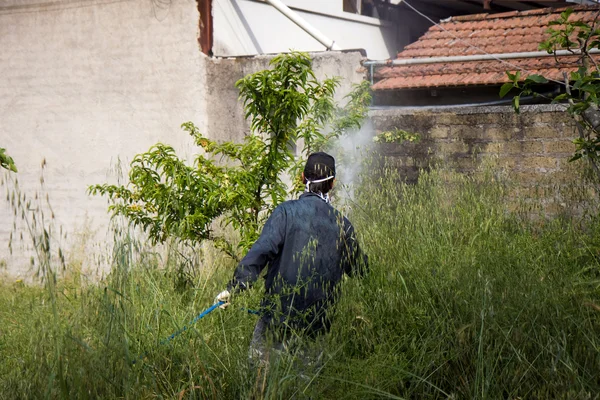 Ouvrier fertilisant jardin — Photo