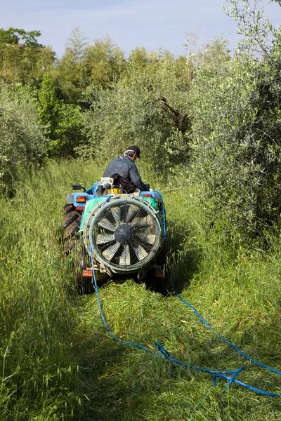 Jordbrukare som arbetar på traktor — Stockfoto