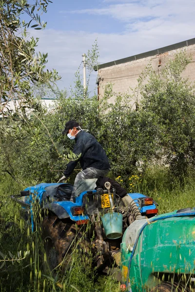 Agriculteur travaillant sur tracteur — Photo