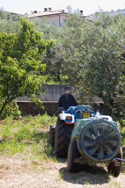 Farmář pracuje na zahradě — Stock fotografie