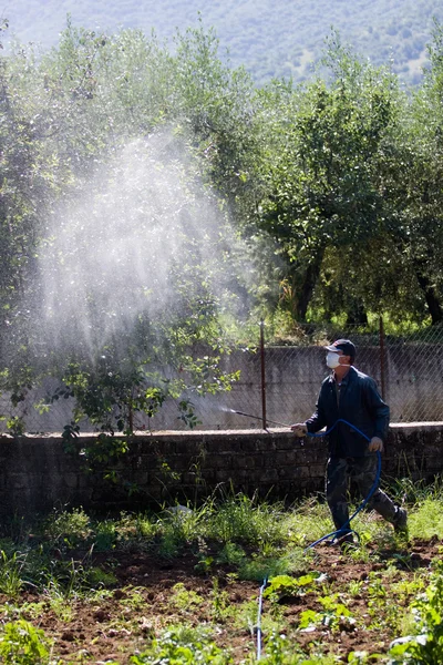 Worker fertilizing garden — Stock Photo, Image