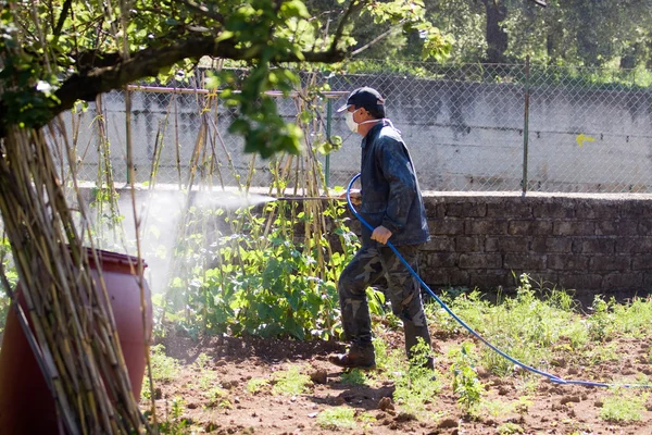 Ouvrier fertilisant jardin — Photo