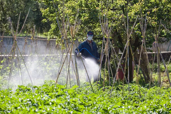 Jordbrukare som arbetar i trädgården — Stockfoto