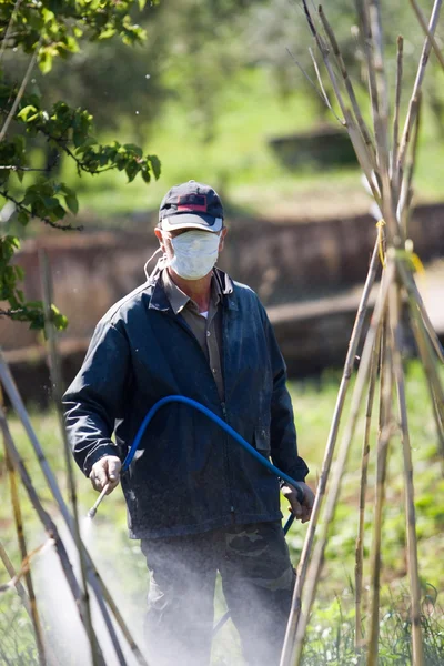 Ouvrier fertilisant jardin — Photo