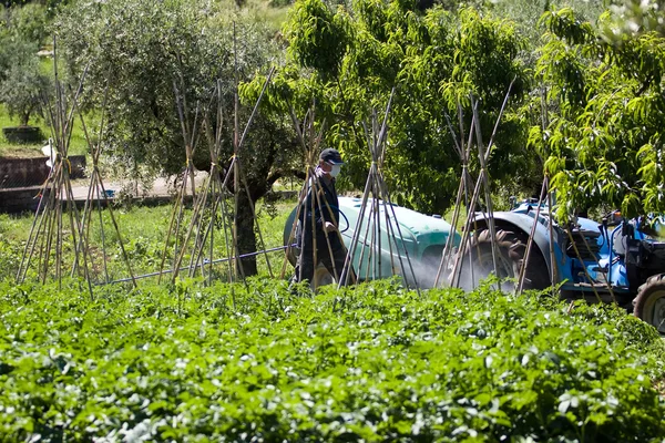 Agricultor trabajando en el jardín —  Fotos de Stock