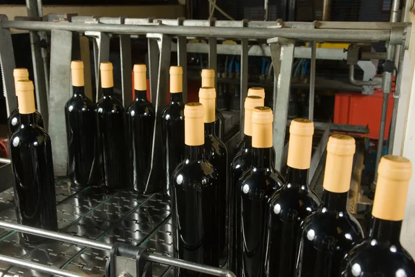 Бутылки на заводе — стоковое фото