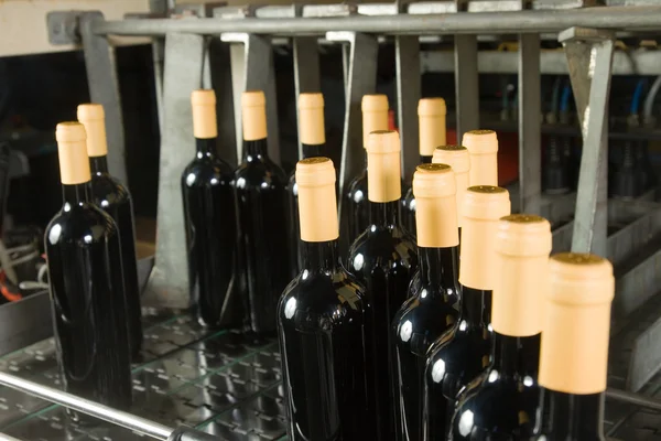 Bottles on factory — Stock Photo, Image