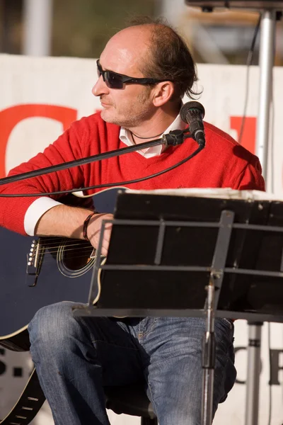 Cantante canta con una guitarra —  Fotos de Stock