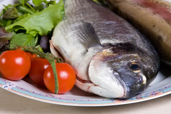 Sea bream — Stock Photo, Image