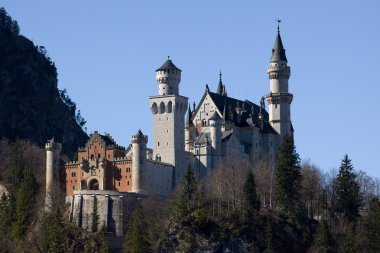 Neuschwanstein Şatosu