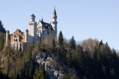 Neuschwanstein Şatosu