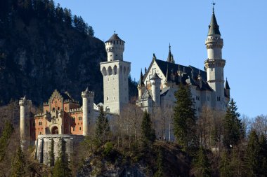 Neuschwanstein Şatosu