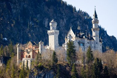 Neuschwanstein Şatosu