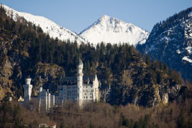 Neuschwanstein Şatosu
