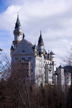 Neuschwanstein Şatosu