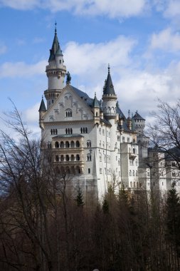 Neuschwanstein Şatosu