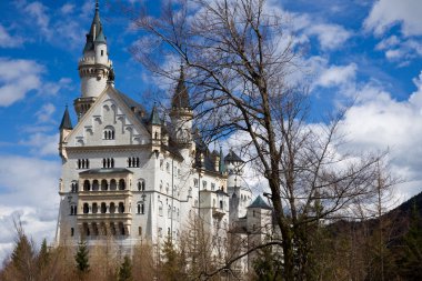 Neuschwanstein Şatosu