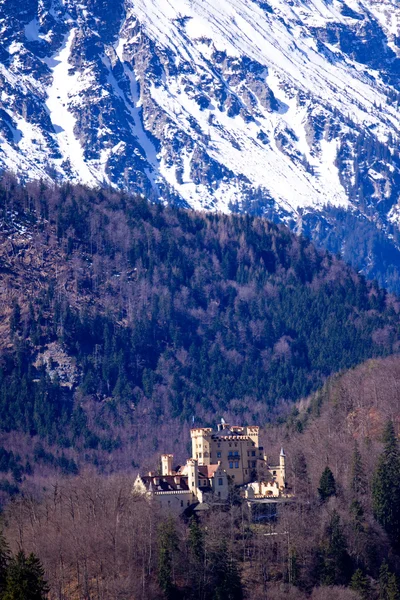 Hohenschwangau castle — Stock Photo, Image