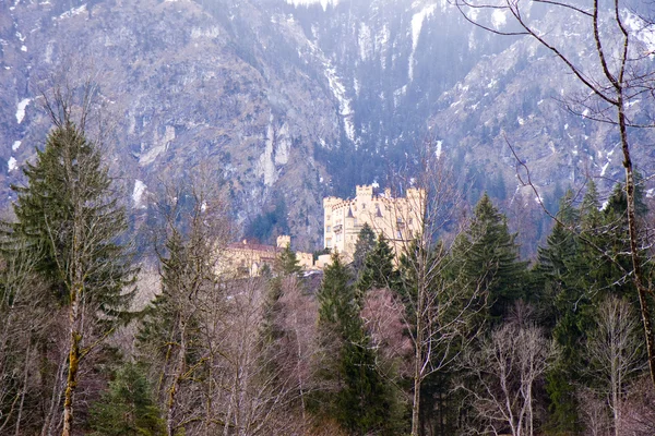 Hohenschwangau slott — Stockfoto