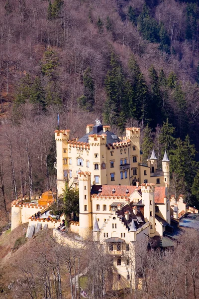 Castelo de Hohenschwangau — Fotografia de Stock