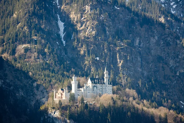 Neuschwanstein castle — Stock Photo, Image