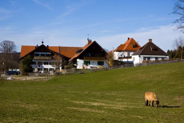 Wieskirche sanctuary — Stockfoto