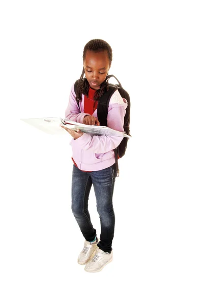 Skolejente leser . – stockfoto