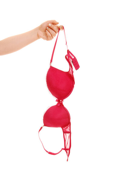 Hand holding a bra.