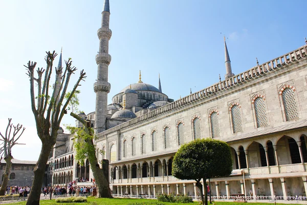 Estambul gran mosca . — Foto de Stock