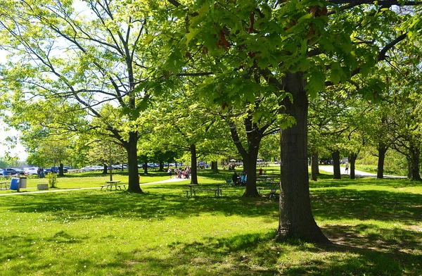 Primavera en el parque. — Foto de Stock