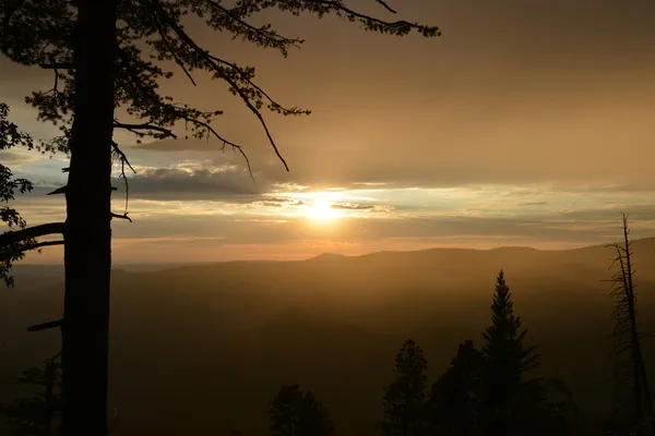 Tioga passare il tramonto nebbioso Immagine Stock