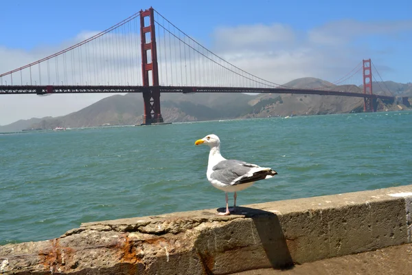 Golden Gate Bridge — Stock Photo, Image