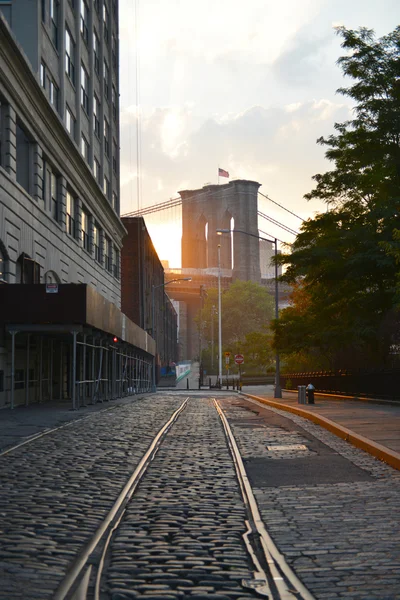 Arnavut kaldırımlı brooklyn Köprüsü