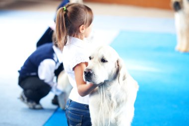 Samara, Rusya Federasyonu-Ağustos 26:russian Ulusal sergi tüm köpekler.