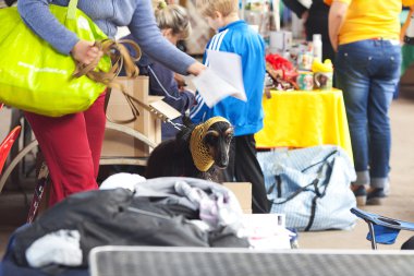 Samara, Rusya Federasyonu-Ağustos 26:russian Ulusal sergi tüm köpekler.