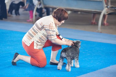 Samara, Rusya Federasyonu-Ağustos 26:russian Ulusal sergi tüm köpekler.