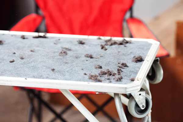 Mesa de aseo con piel de perro — Foto de Stock