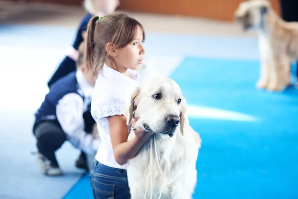 SAMARA, RÚSSIA-AGOSTO 26: Exposição de cães nacionais russos de todos — Fotografia de Stock