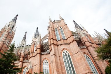 katedral içinde kentinde la plata, Arjantin