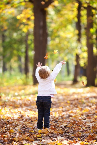 漂亮的小女孩把叶子扔在森林里 — 图库照片