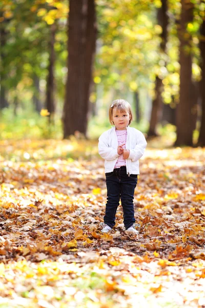 Beautiful little girl in the autumn forest — Stock Photo, Image