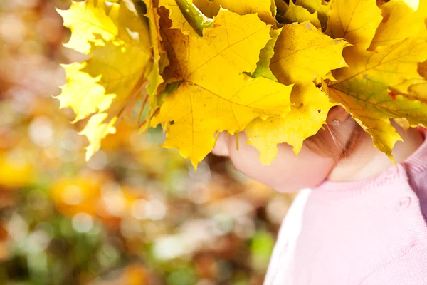 Sonbaharda akçaağaç çelenk küçük kız güzel ön plana bırakır — Stok fotoğraf