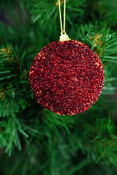 Noel ağacında Noel oyuncağı — Stok fotoğraf