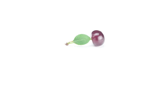 Cherry and green leaves on white background — Stock Photo, Image