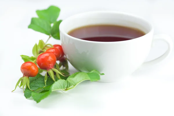 Kopp te och Nypon bär med blad på vit bakgrund — Stockfoto