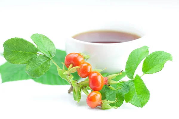 Taza de té y bayas de rosa mosqueta con hojas sobre fondo blanco — Foto de Stock